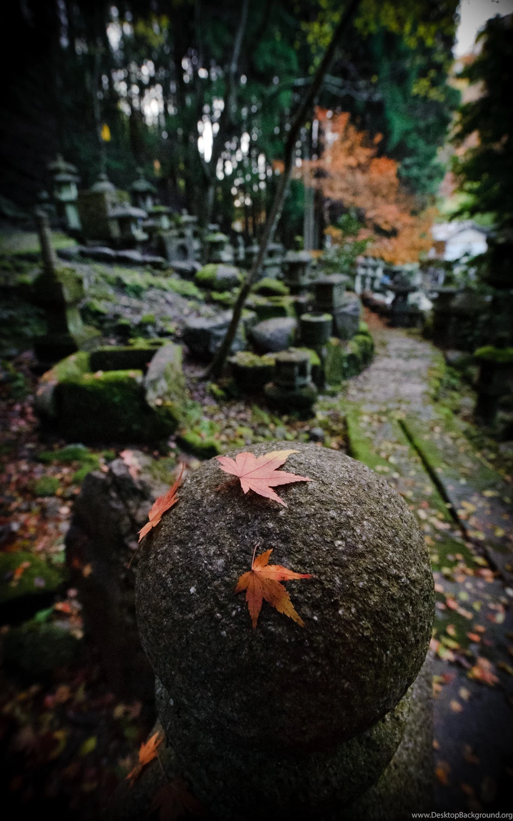 Jeffrey Friedl's Blog » Going Vertical: Portrait Mode Desktop ...