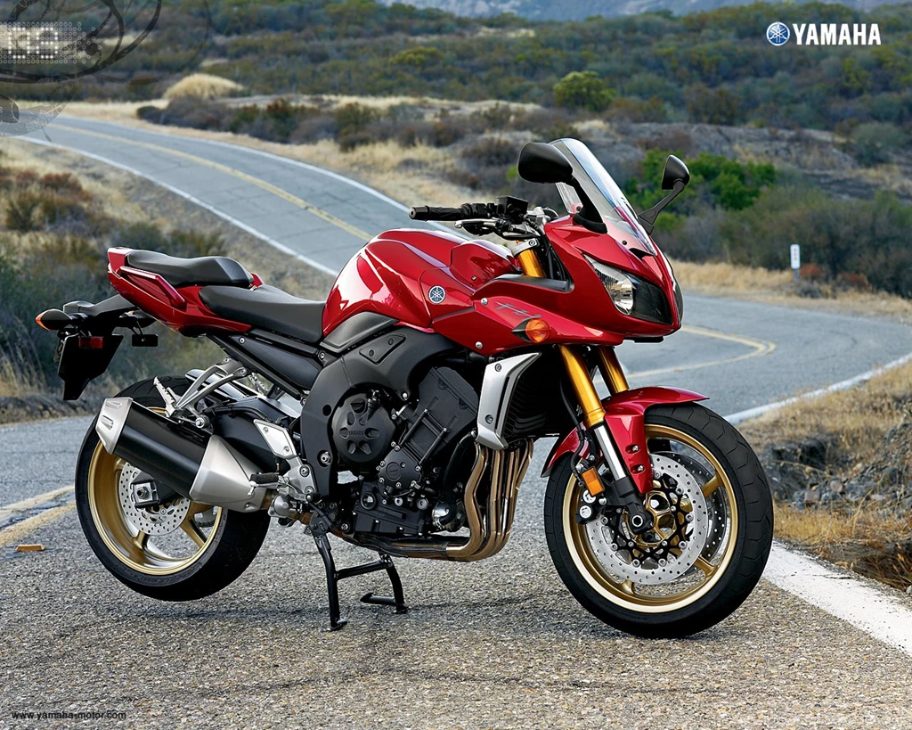 2013 Yamaha FZ1   Image