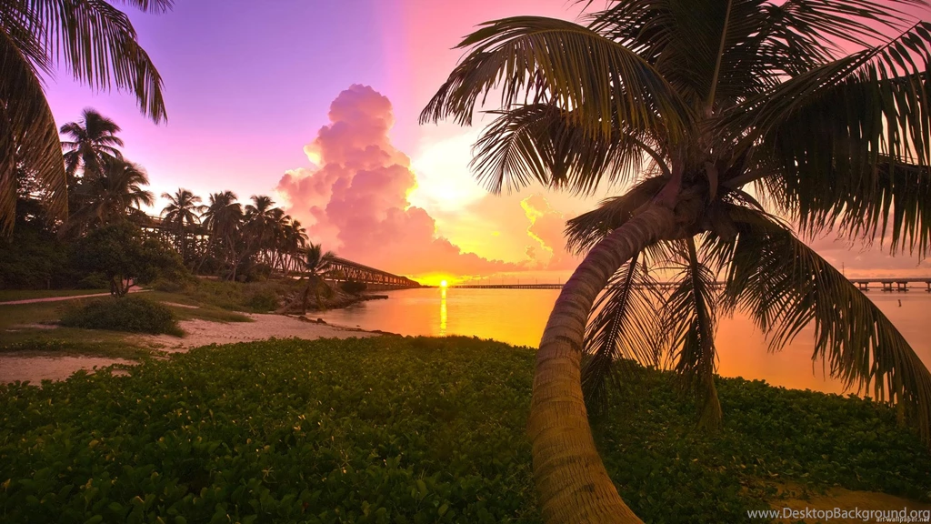 Hd Wallpapers Widescreen Collection (33+)