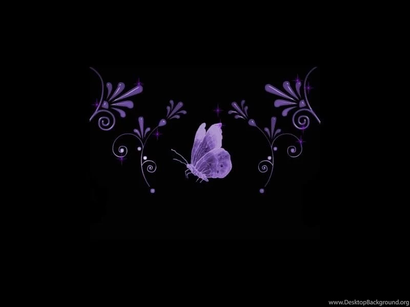 Wallpapers Purple Butterfly On Black Free 800x600
