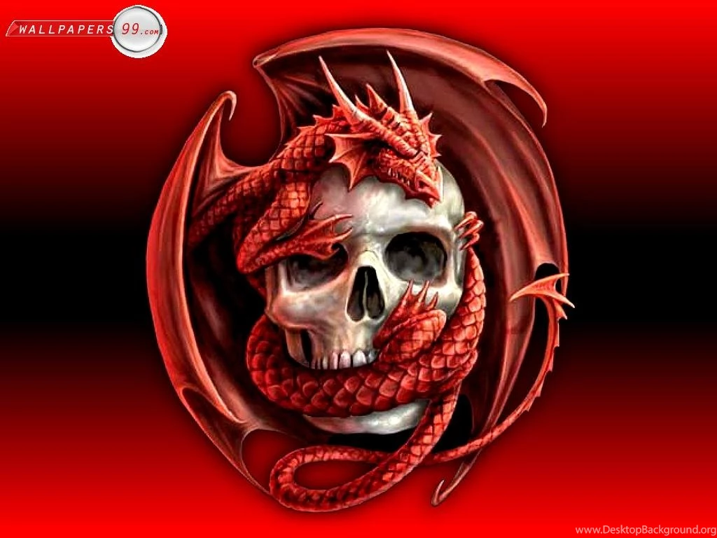 Cool Pics Of Skull Wallpapers