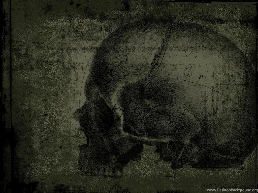 697 Skull HD Wallpapers
