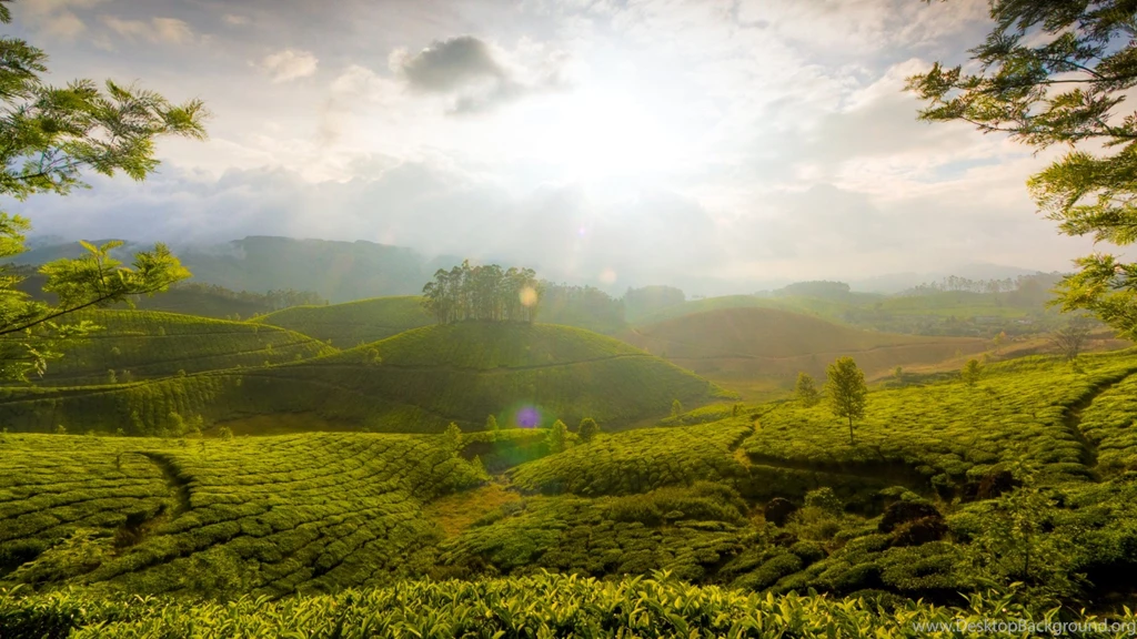 Munnar Hills Kerala India Wallpapers
