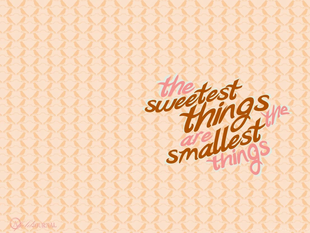 A Field Journal: September 2009