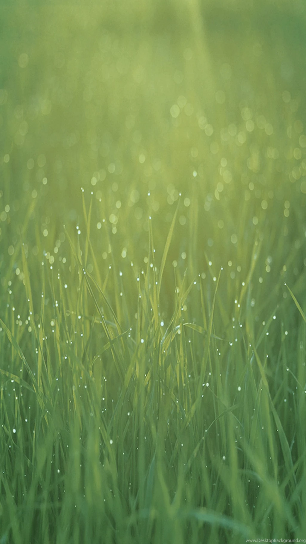 Green Ios 7 Wallpapers For Galaxy S6.jpg