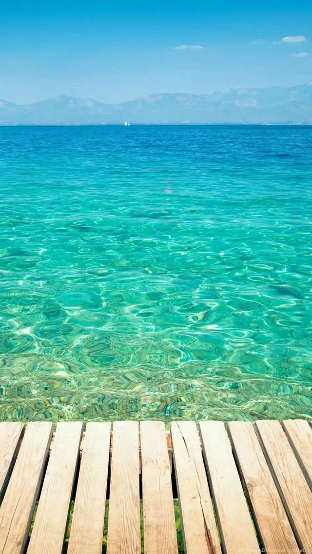 19 Quintessential Summer Photos
