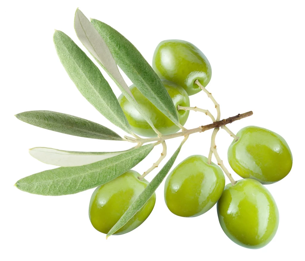 Best Food Wallpaper: Olive, 426978, Food