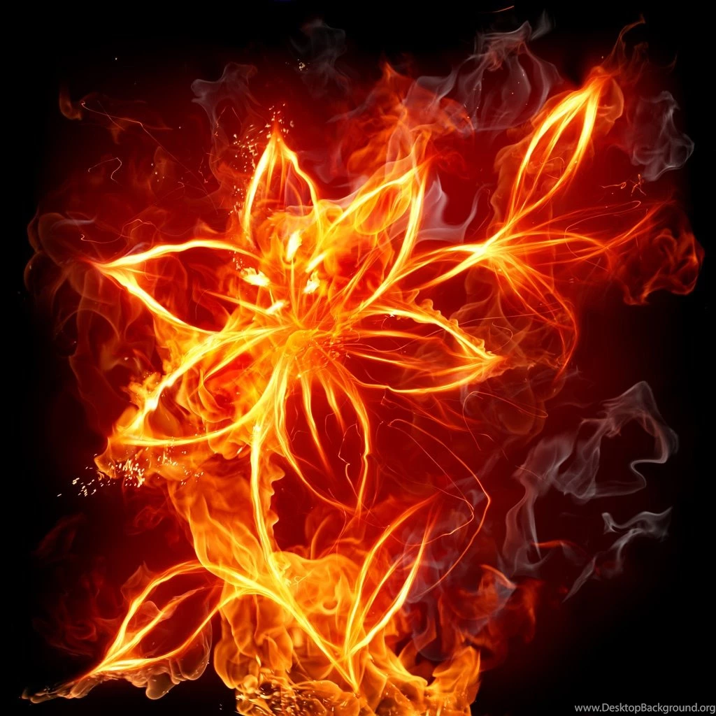 Fire Flowers iPad Wallpapers Download