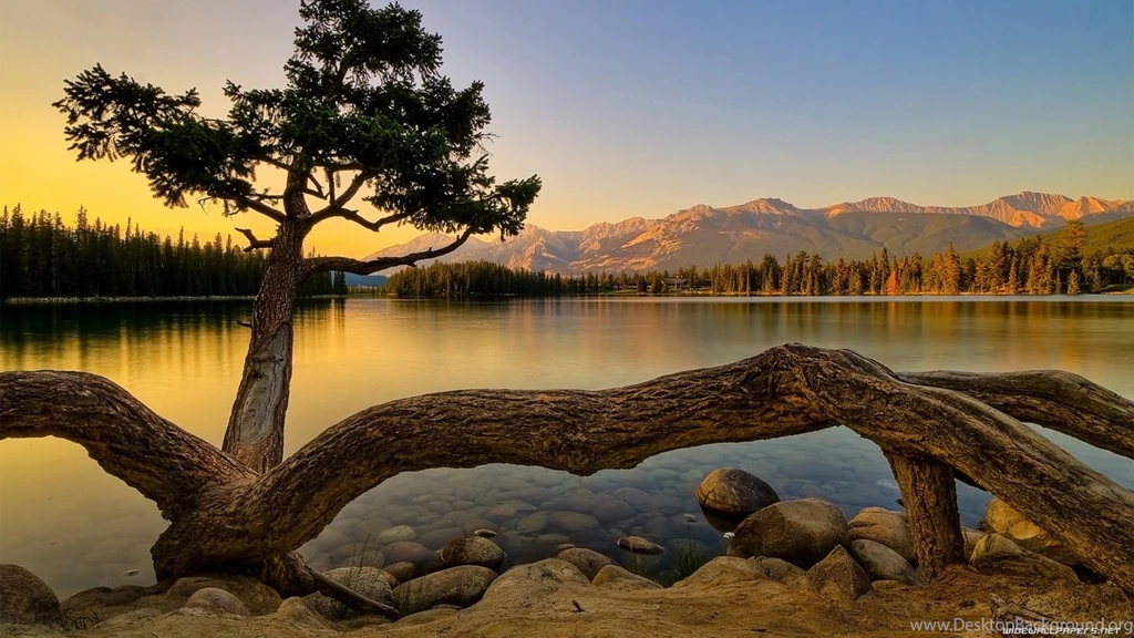 Hd Wallpapers Of Nature, 3D Nature Wallpapers For Desktop ...