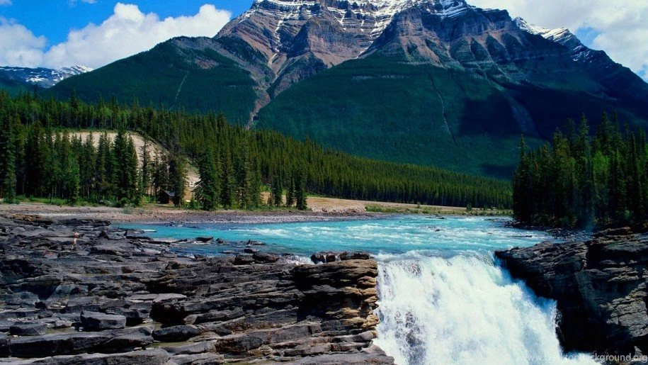 Delicately Beautiful Photo Nature Wallpapers For Your Desktop ...