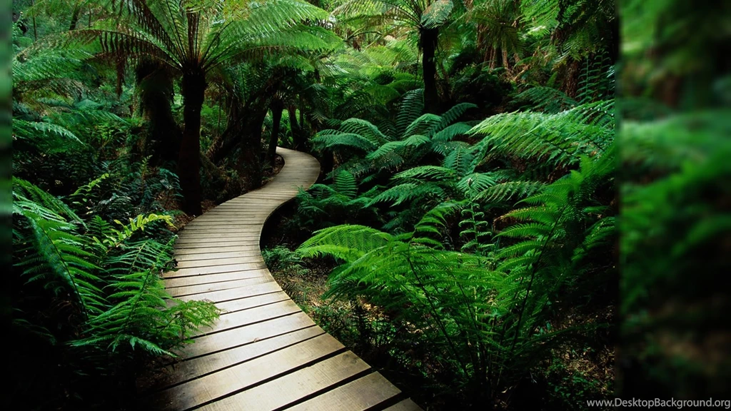Amazing Wallpapers Of Nature For Desktop Backgrounds