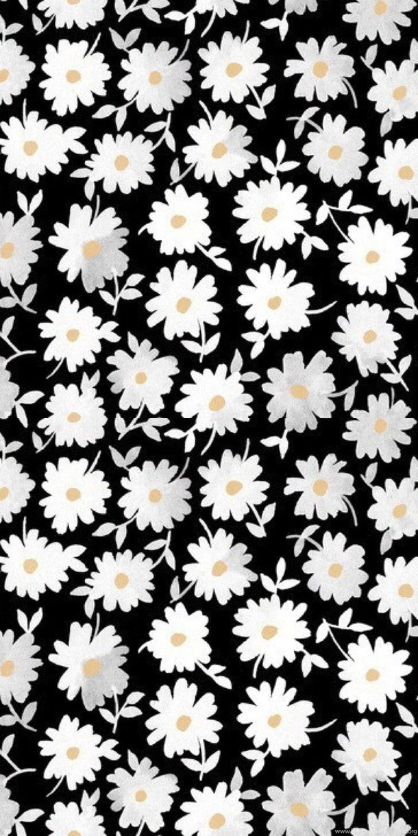Background, Black, Flowers, Iphone, Wallpaper, White Image ...