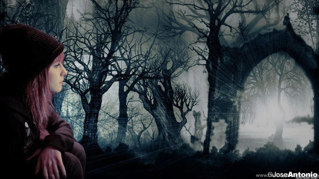 Hayley Williams Wallpapers By Toniio94 On DeviantArt