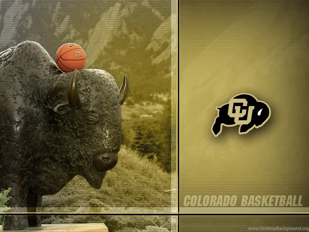COLORADO ATHLETICS WALLPAPER   CUBuffs.com   Official Athletics ...