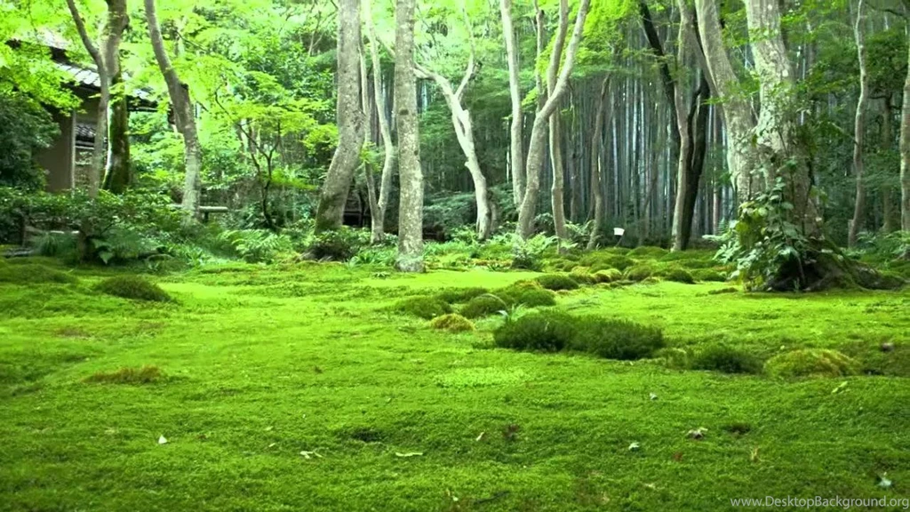 2 HOURS Of Relaxing Music NEW Relaxation, Yoga, Spa, Sleep ...