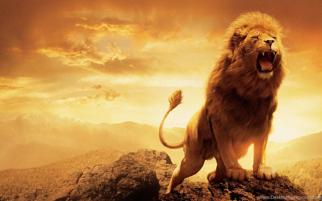 Narnia Lion Aslan HD Wallpapers