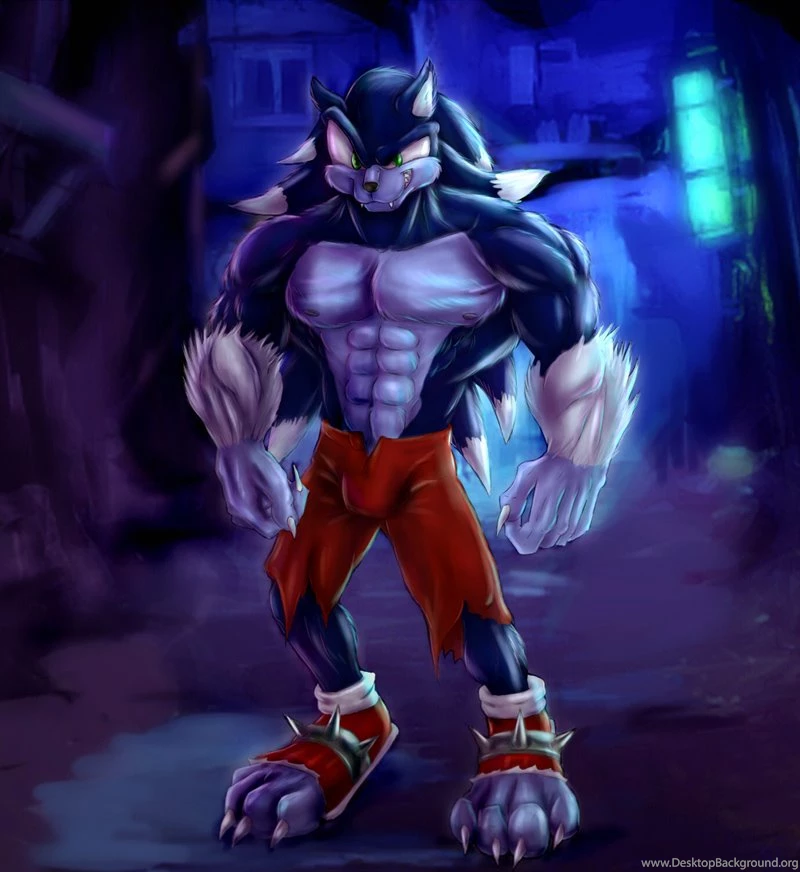 Sonic The Werehog By Bleakcat On DeviantArt