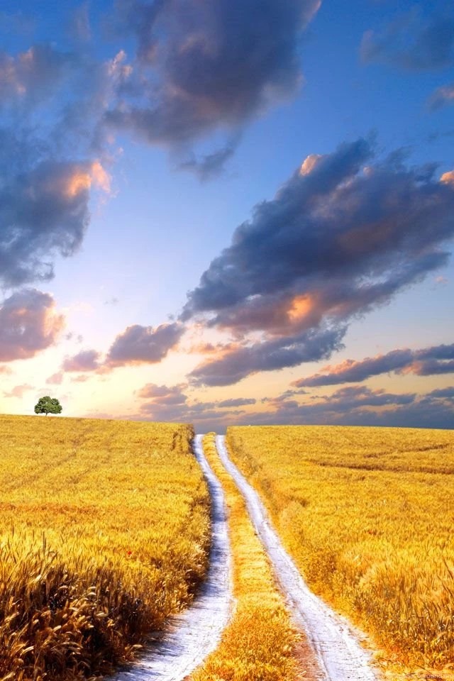 50+ Wallpapers Untuk iPhone Dan Android