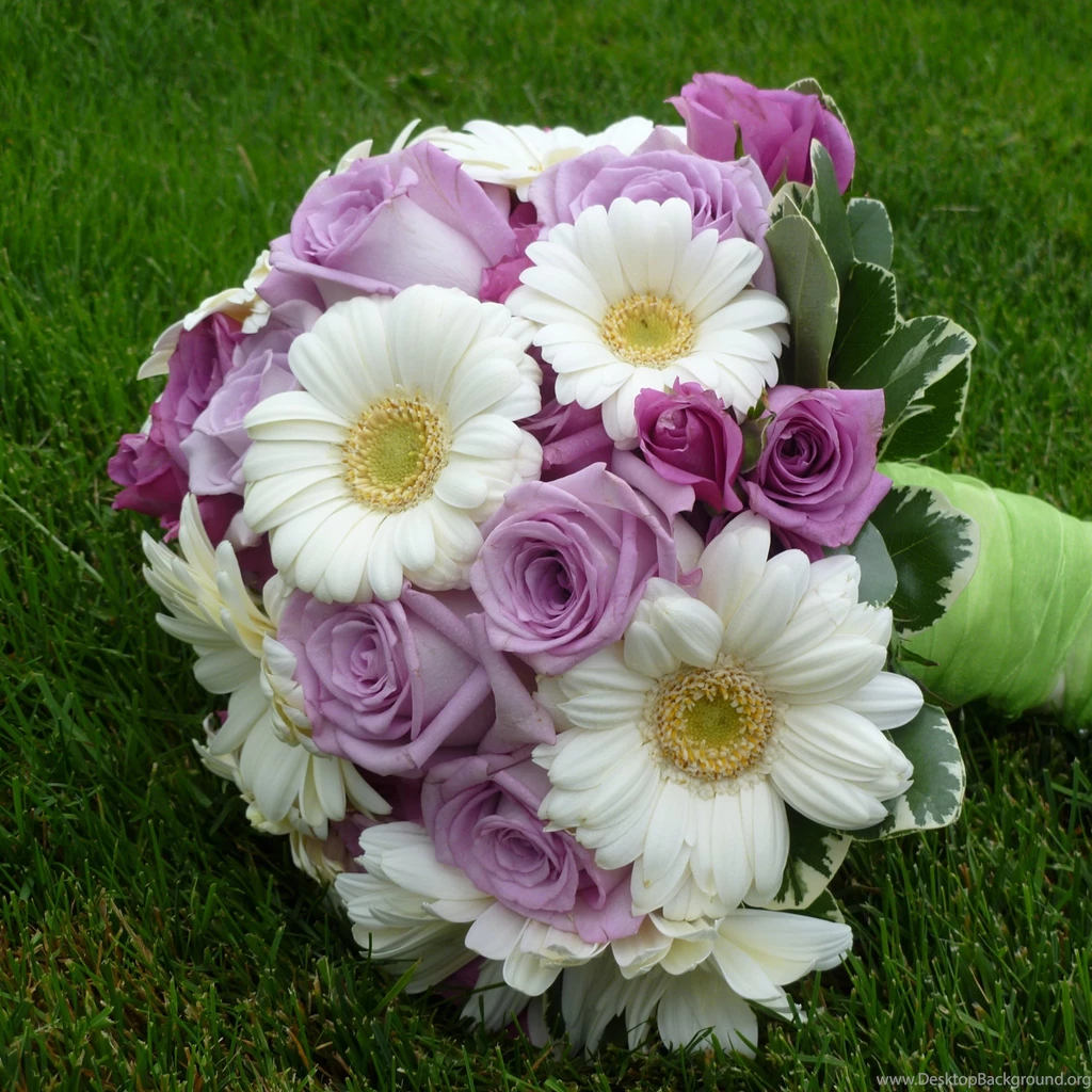 New Flower Wallpapers Download (8)
