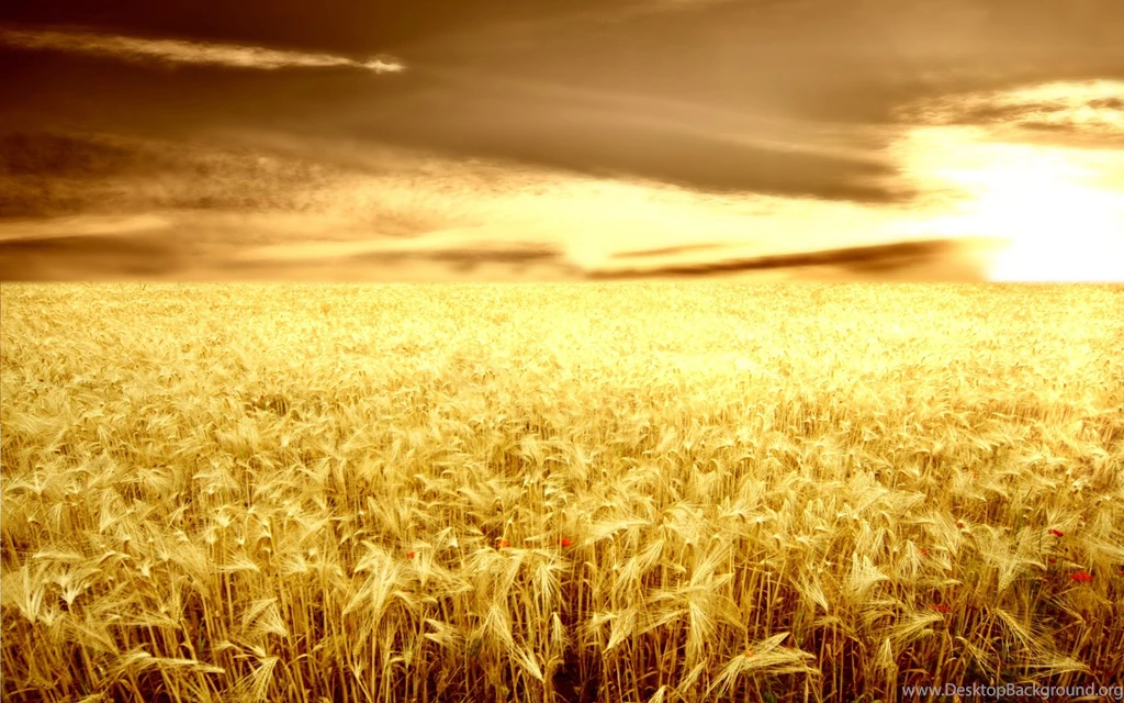Free Farm Wallpapers