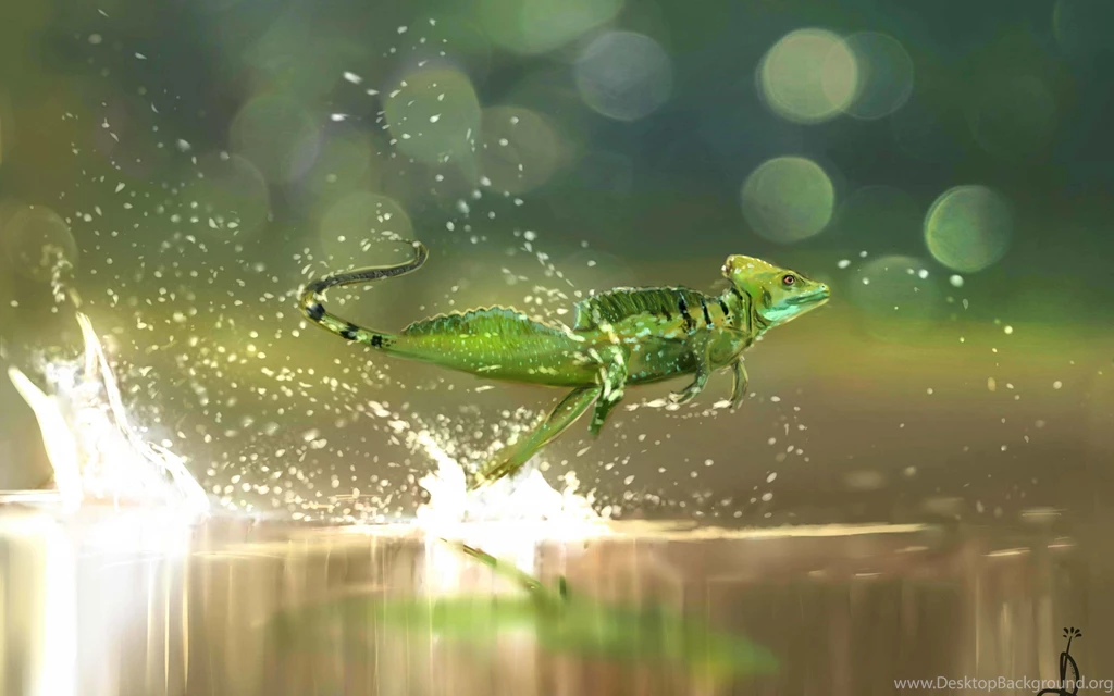 Lizard Computer Wallpapers, Desktop Backgrounds
