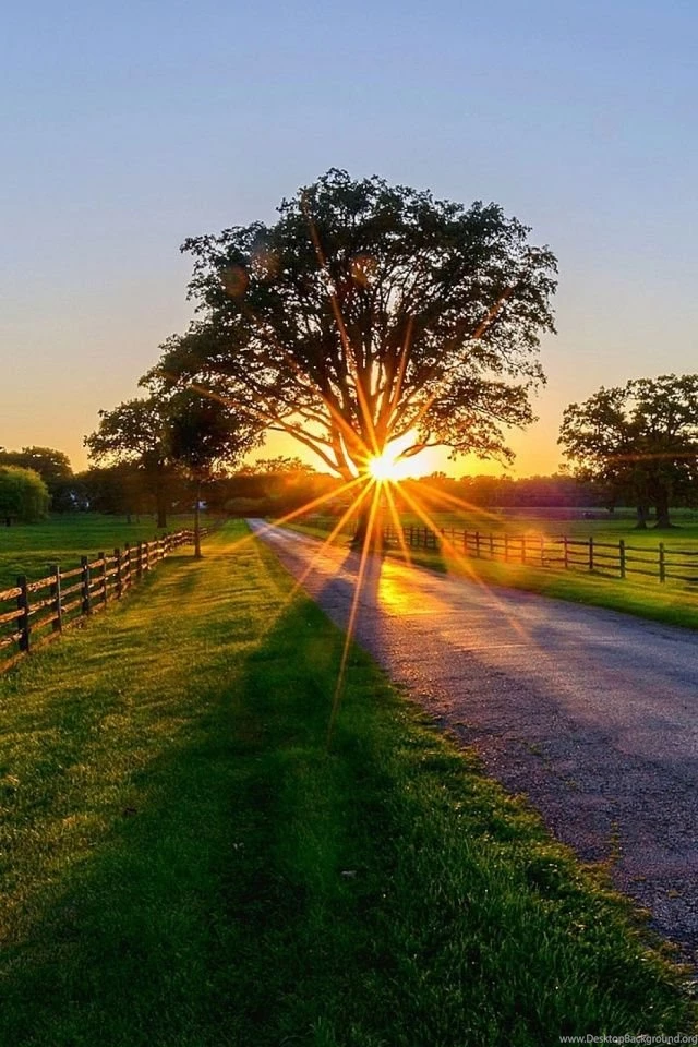 640x960 Hot Wallpapers For Phone Download   16   640x960   Hot ...