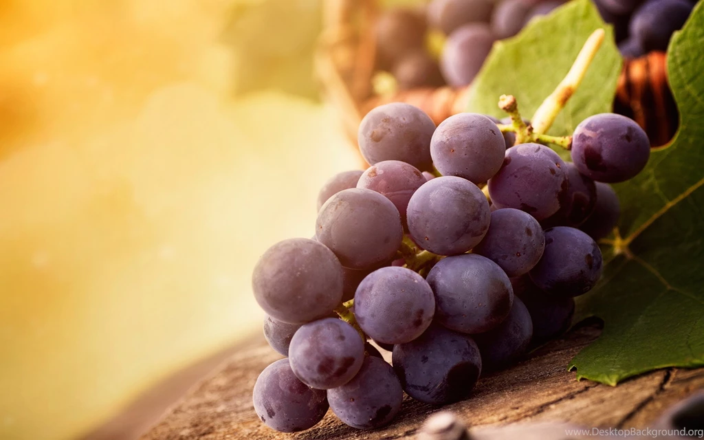 Fruit Grapes Wallpaper Backgrounds 1852 2880x1800 UMad.com