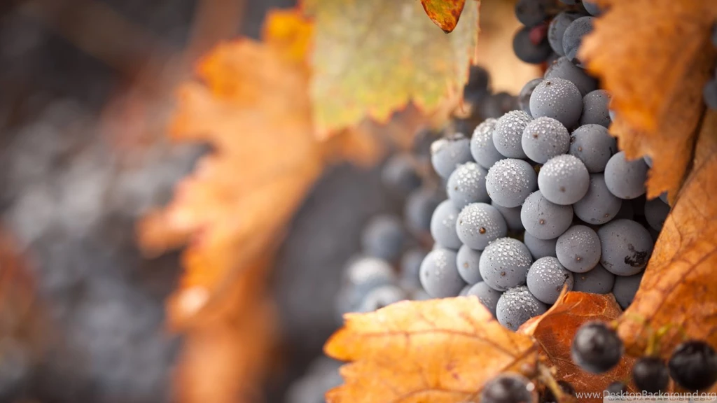 Grapes HD Desktop Wallpapers : High Definition : Fullscreen ...
