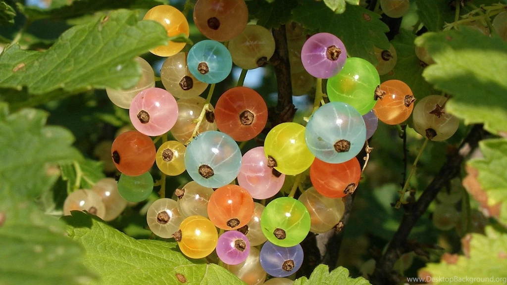 180 Grapes HD Wallpapers
