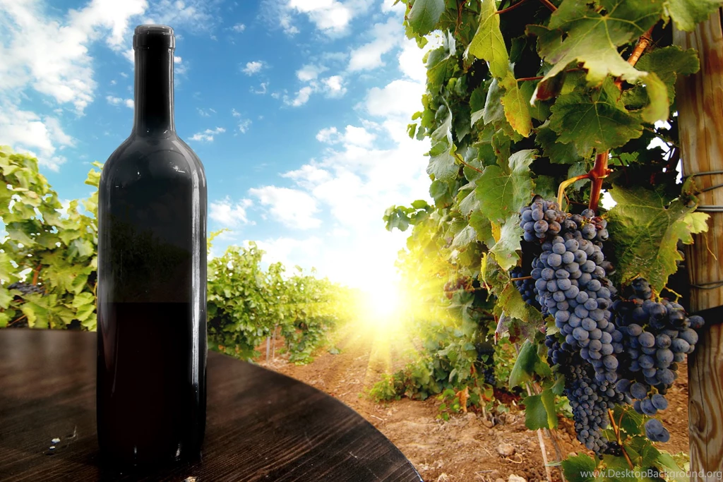 Wallpapers Fruit Grapes Food Image