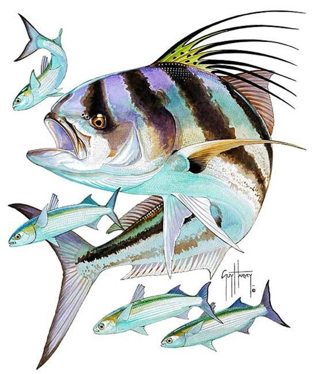 RePin Image: Guy Harvey's Tribute To Marlin On Pinterest