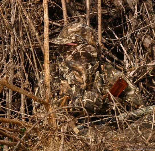 Alfa Img Showing > Max 4 HD Camo