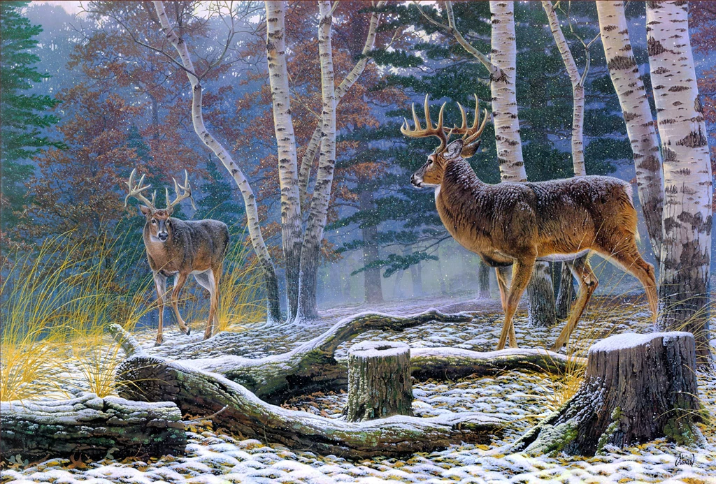 30 Beautiful Deer Wallpapers Pictures