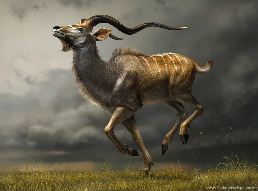 Animated Animal HD Wallpapers HD Images, HD Pictures ...
