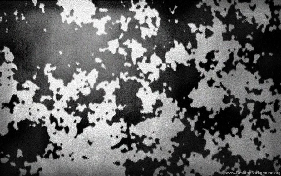 Cowhide Wallpapers By Kaessa On DeviantArt