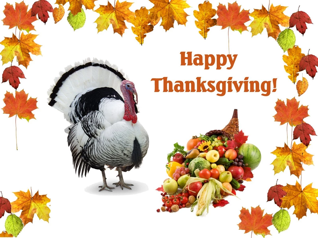 Thanksgiving Day HD Wallpapers