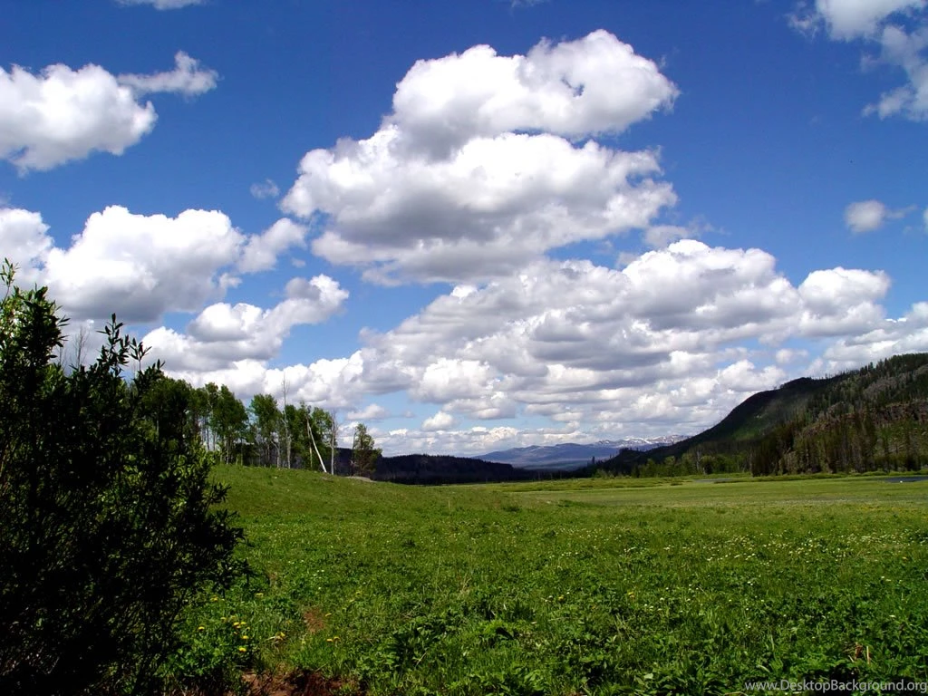 FREE Nature Wallpaper: Landscape Wallpapers