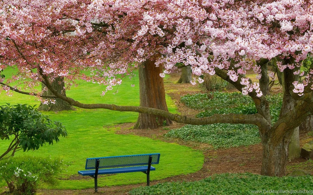 Beautiful Nature Landscape Wallpapers 1440 X 900