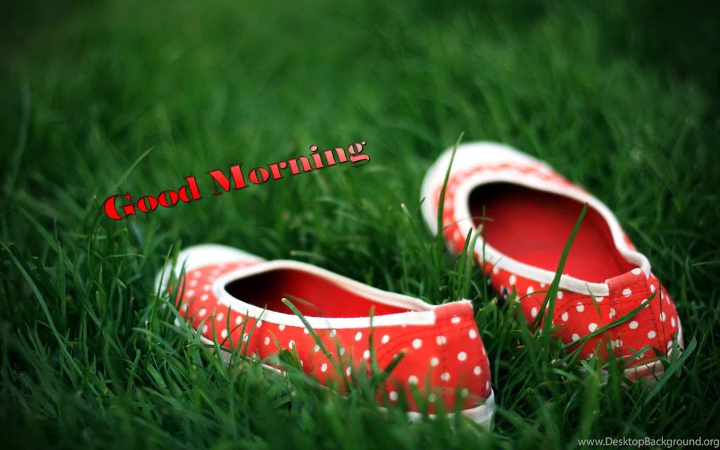 Good Morning Wallpapers Waiting For Someone   Top Wallpapers HD