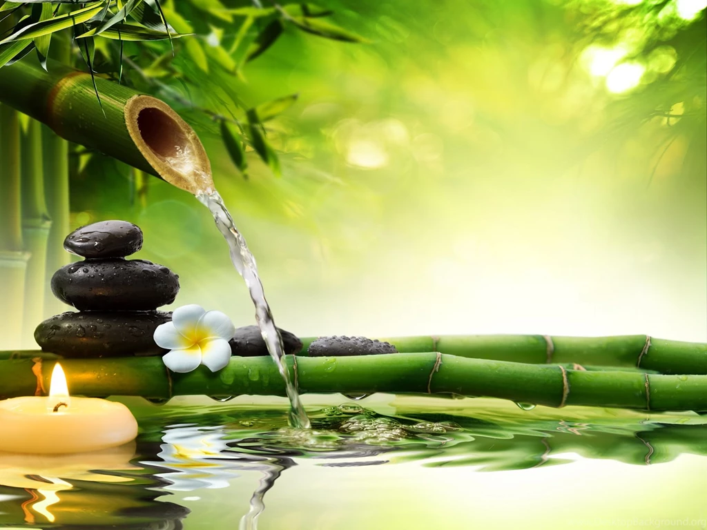 Good Morning Nature HD Wallpapers