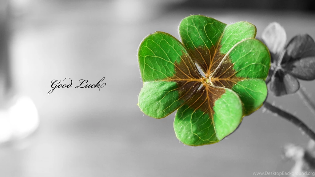 Wallpapers God Of Natural Good Luck 1920x1080