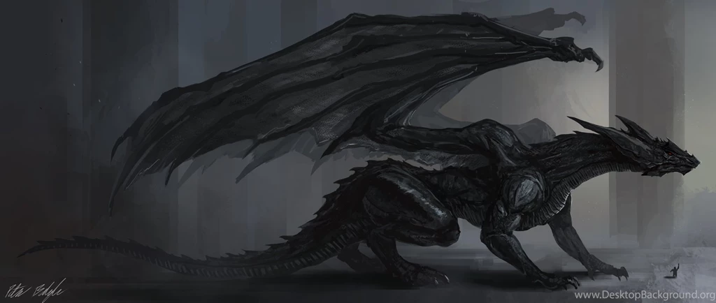 Black Dragon HD Images Wallpapers 10045 Amazing Wallpaperz