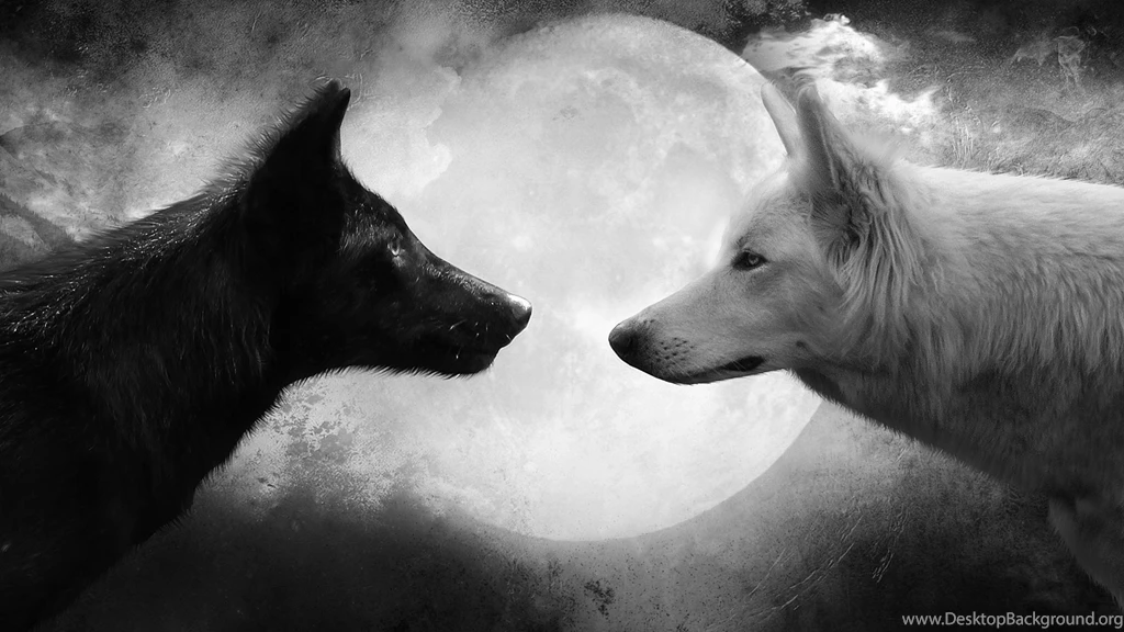 Cool Wallpapers Hd