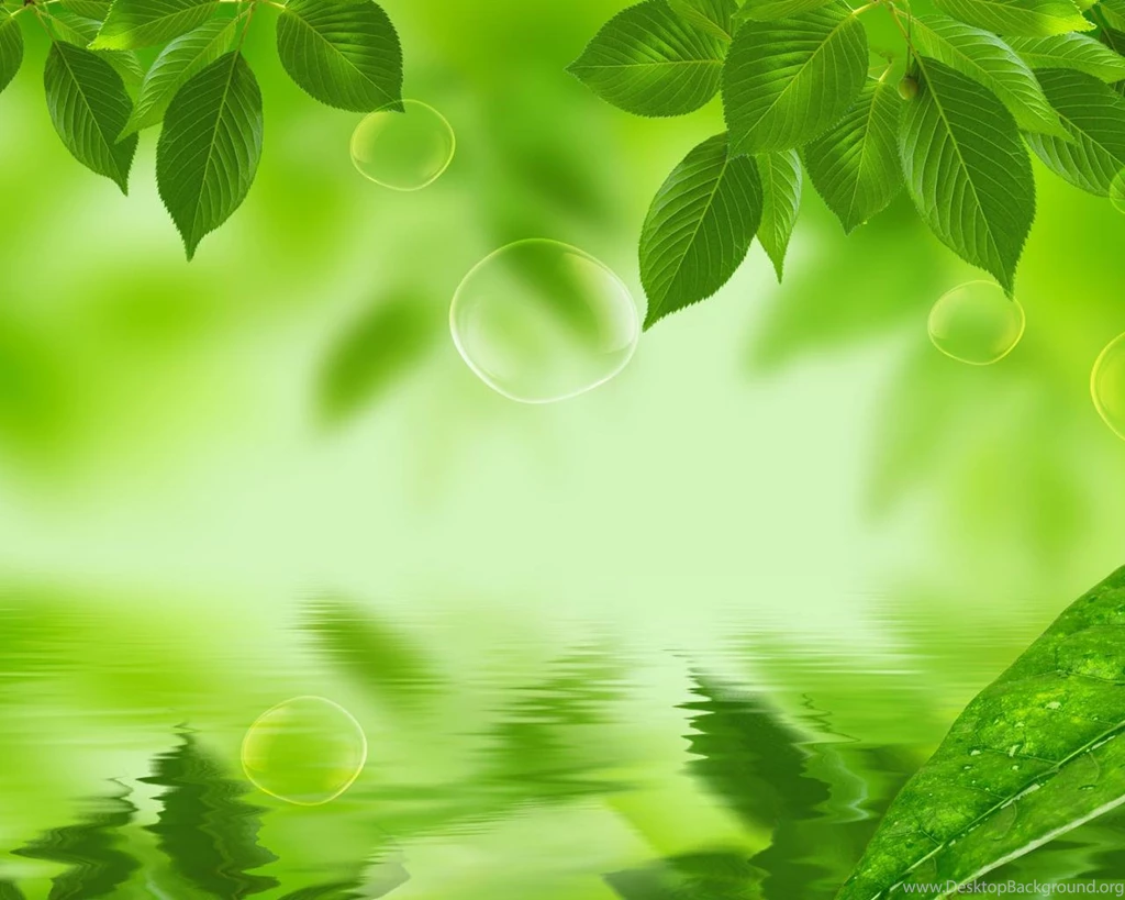 Green Leaf