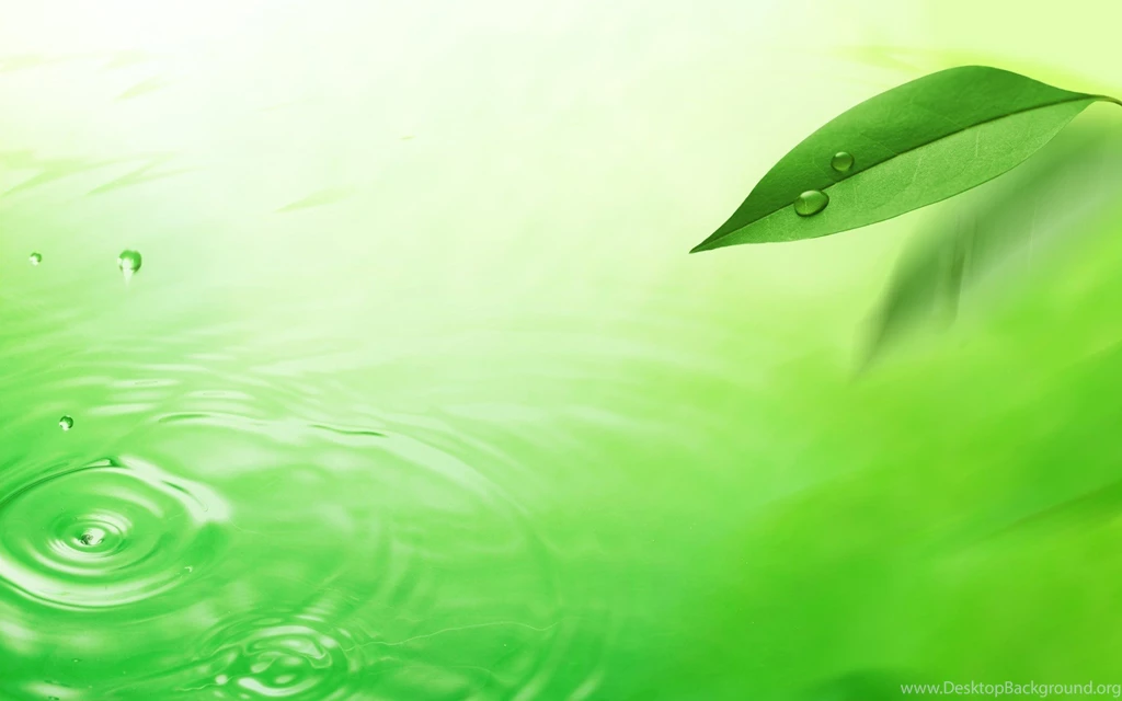 Green Leaf Wallpapers