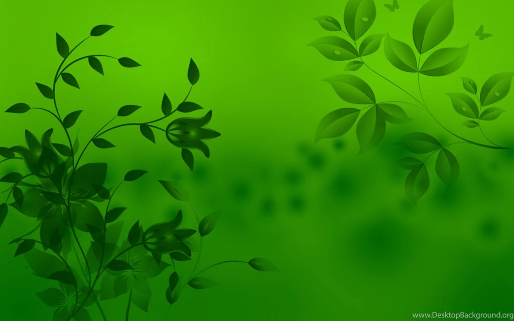 Cool HD Wallpapers Leaf Green Images Walmage.com Walmage.com