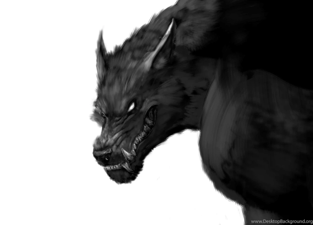 Werewolf Wallpapers Downloads 11212 Amazing Wallpaperz