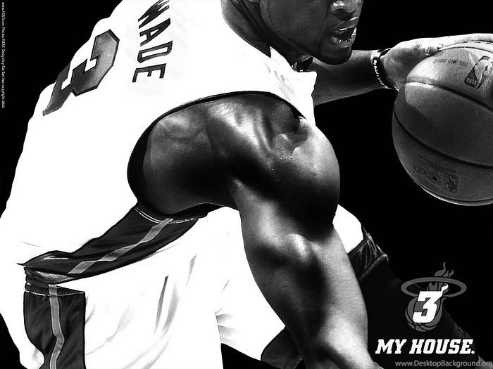 Miami Heat : Dwyane Wade Photo1   Wallcoo.net