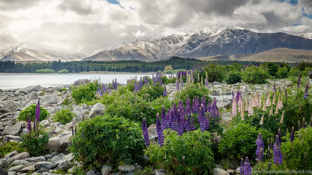 Full HD 1080p New Zealand Wallpapers HD, Desktop Backgrounds ...