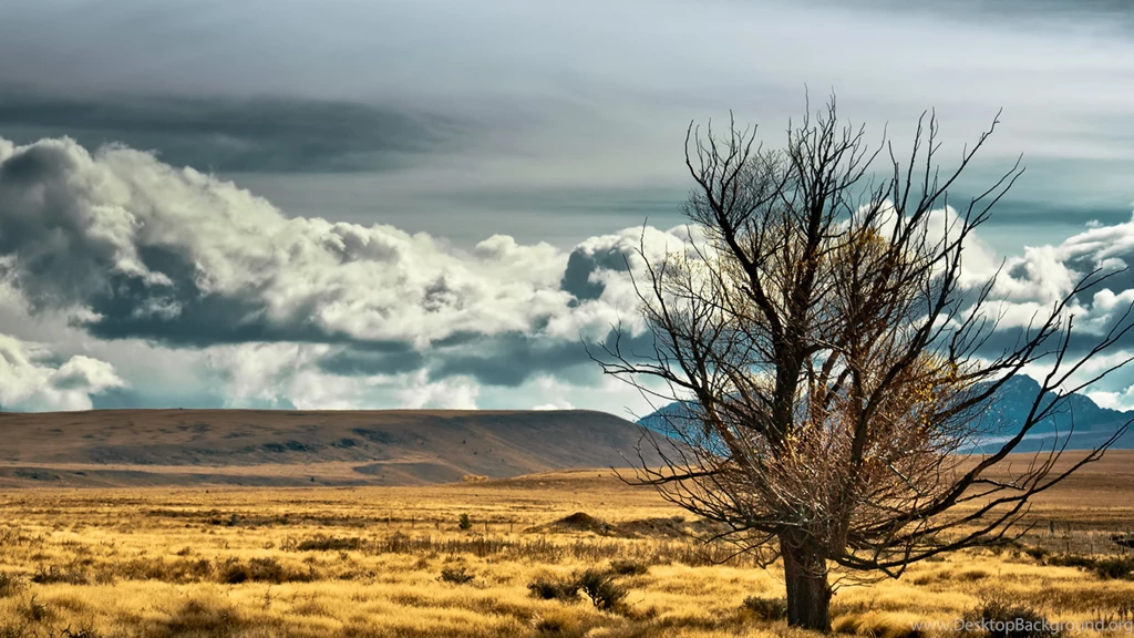 4K Ultra HD New Zealand Wallpapers HD, Desktop Backgrounds 3840x2160